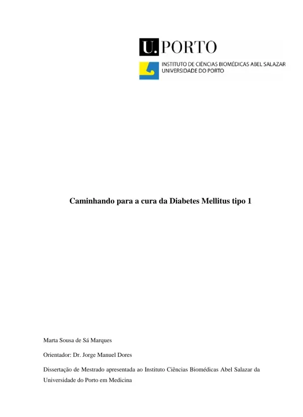 Caminhando para cura da Diabetes Mellitus Tipo 1