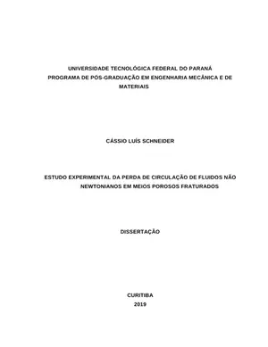 Perda de Circulação: Fluidos Não-Newtonianos