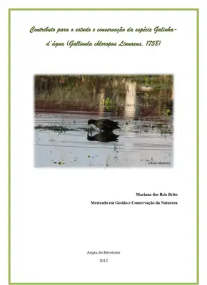 Conservação da Galinha-d’água nos Açores