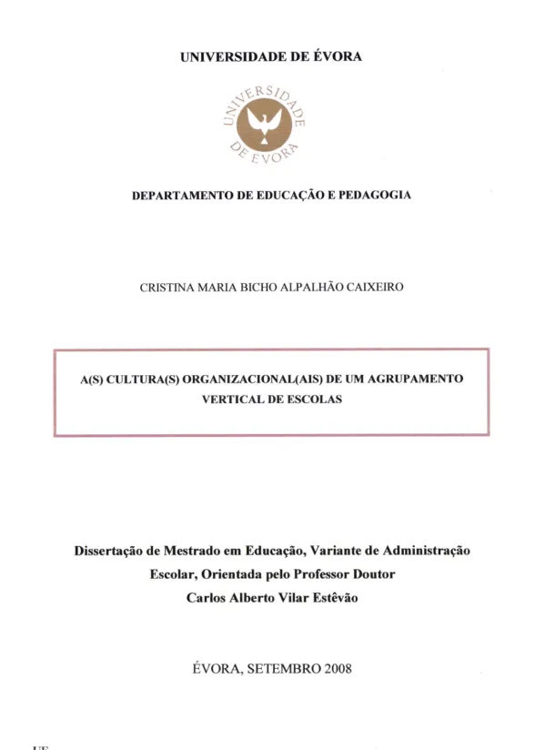 A(s) cultura(s) organizacionalais) de um grupamento vertical de escolas